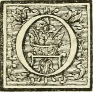 An illustration from Dictionnaire dárchitecture : civile, militaire et navale, antique, ancienne et moderne, et de tous les arts et métiers qui en dépendent : dont tous les termes son exprimés en Francois, Latin, Italien, Espagnol, Anglois et Allemand : enrichie de cent une planches de figures en taille-douce pour en faciliter l'intelligence ..., 1770, leaf 340