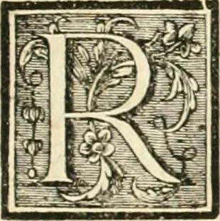 An illustration from Dictionnaire dárchitecture : civile, militaire et navale, antique, ancienne et moderne, et de tous les arts et métiers qui en dépendent : dont tous les termes son exprimés en Francois, Latin, Italien, Espagnol, Anglois et Allemand : enrichie de cent une planches de figures en taille-douce pour en faciliter l'intelligence ..., 1770, leaf 524