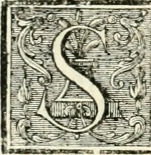 An illustration from Dictionnaire dárchitecture : civile, militaire et navale, antique, ancienne et moderne, et de tous les arts et métiers qui en dépendent : dont tous les termes son exprimés en Francois, Latin, Italien, Espagnol, Anglois et Allemand : enrichie de cent une planches de figures en taille-douce pour en faciliter l'intelligence ..., 1770, leaf 595