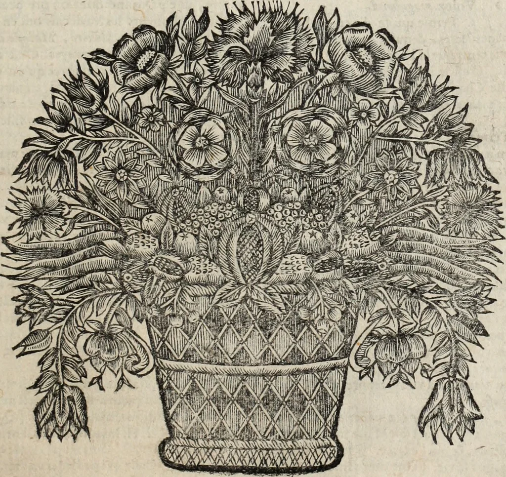 An illustration from Dictionnaire françois.., 1680, leaf 1002