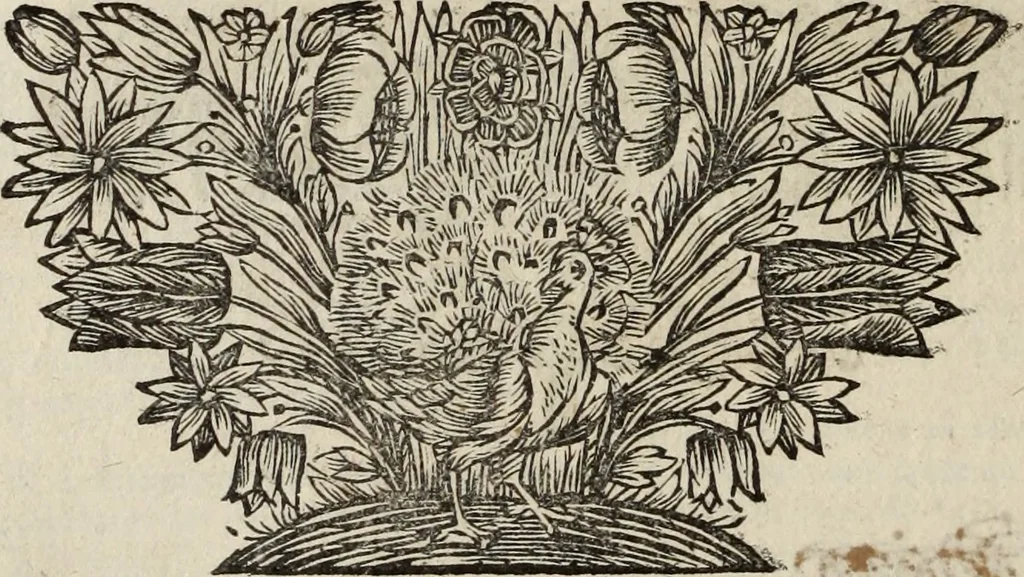 An illustration from Dictionnaire françois.., 1680, leaf 1057