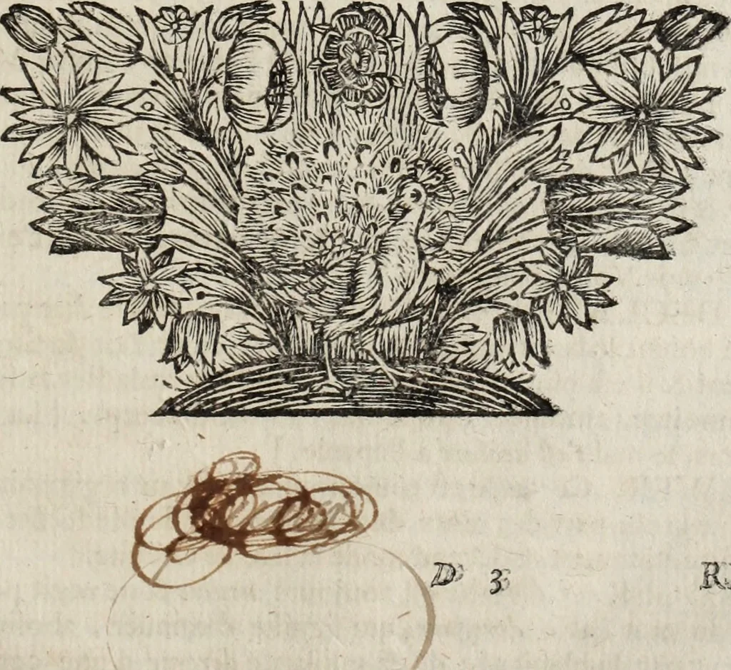 An illustration from Dictionnaire françois.., 1680, leaf 1090