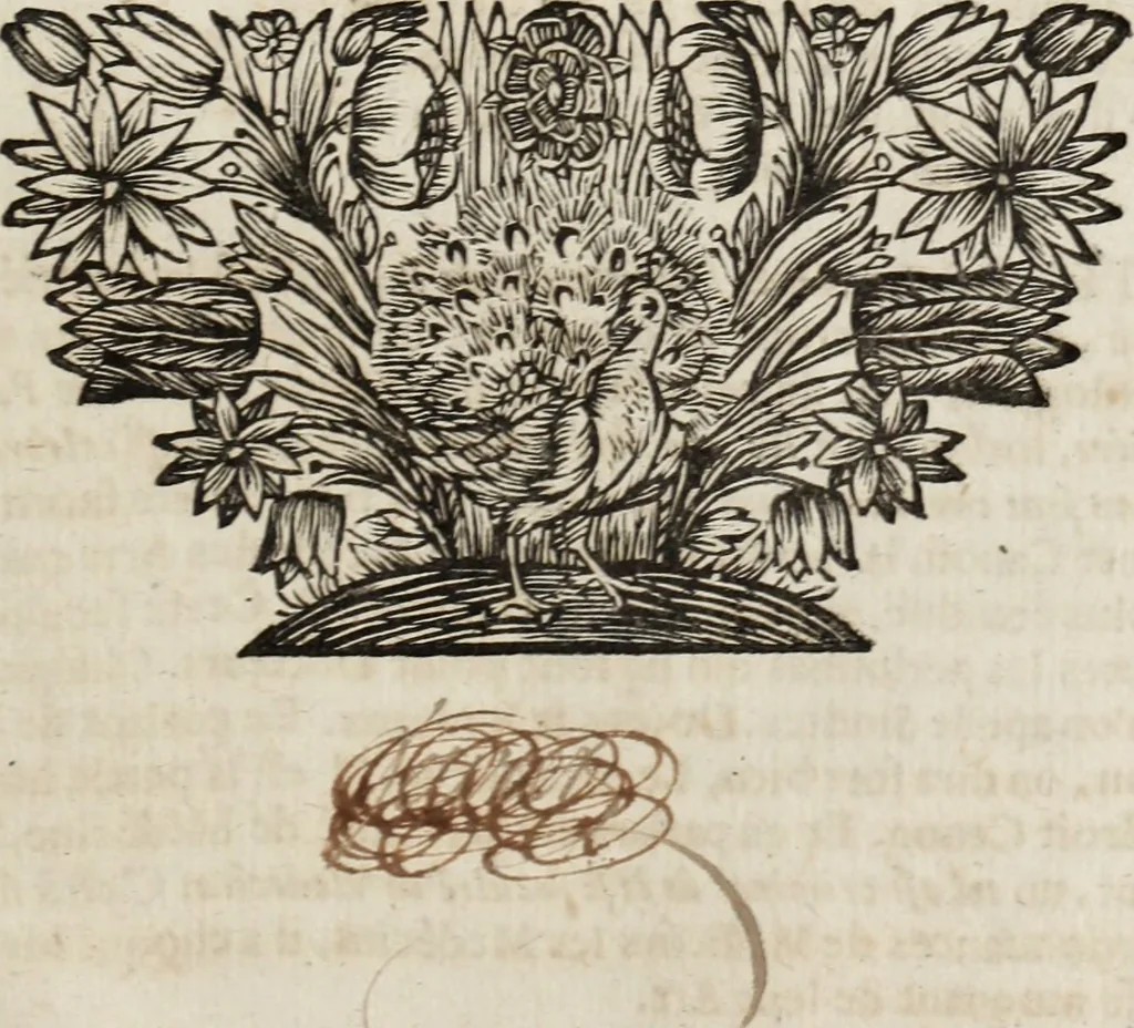 An illustration from Dictionnaire françois.., 1680, leaf 1098