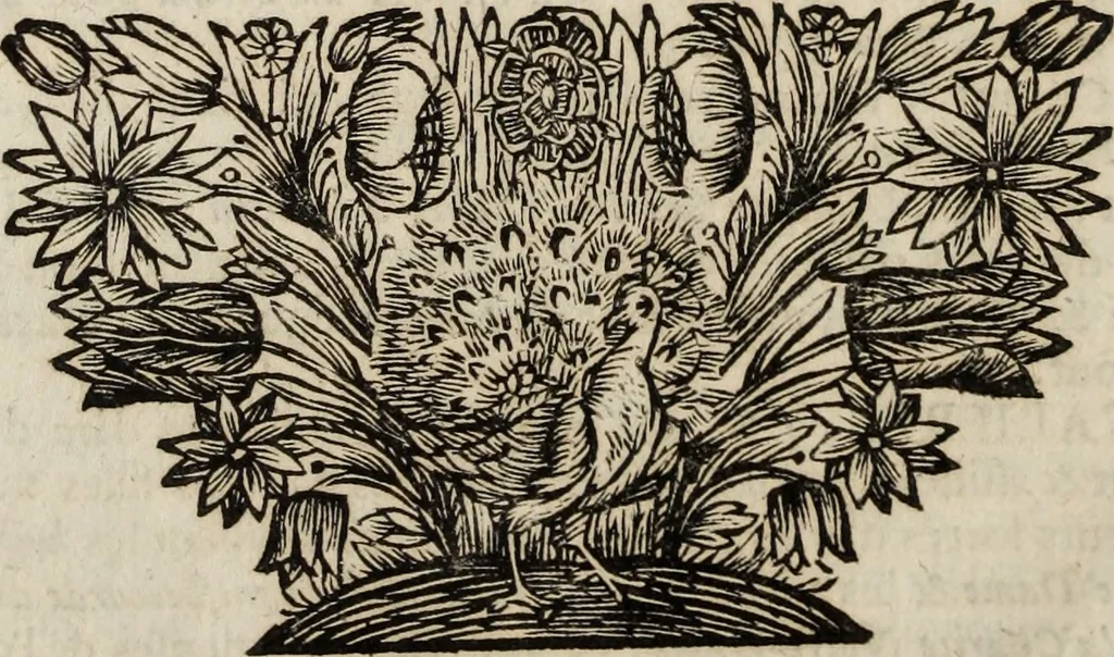 An illustration from Dictionnaire françois.., 1680, leaf 1107