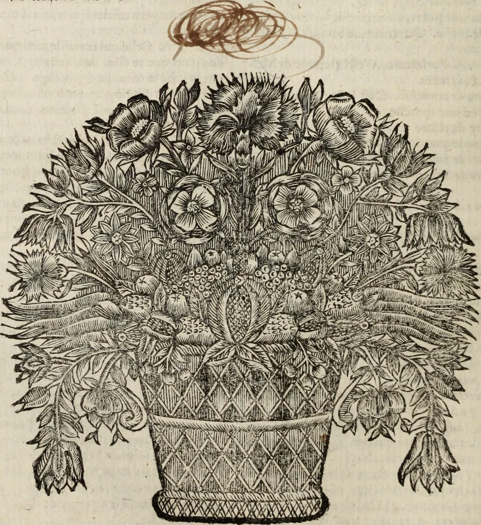 An illustration from Dictionnaire françois.., 1680, leaf 607