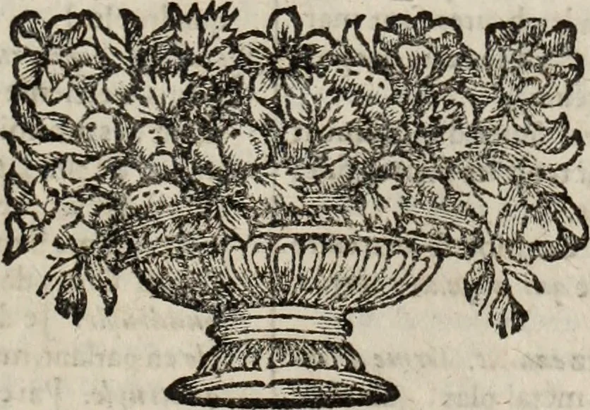 An illustration from Dictionnaire françois.., 1680, leaf 734