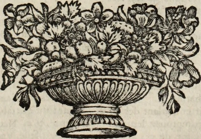 An illustration from Dictionnaire françois.., 1680, leaf 834