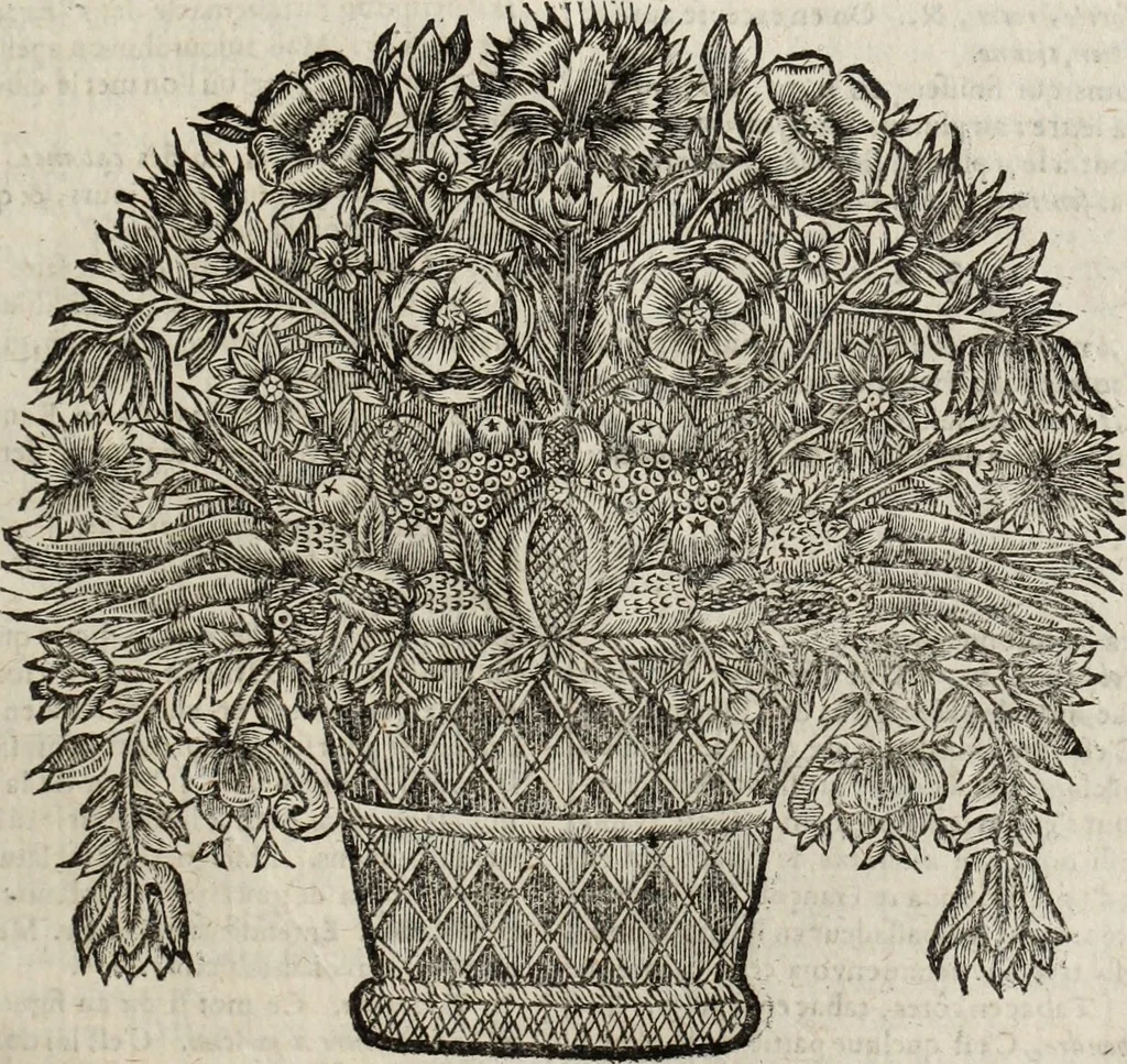 An illustration from Dictionnaire françois.., 1680, leaf 916