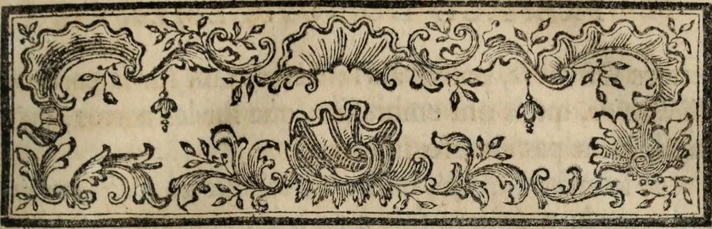 An illustration from Dictionnaire militaire : ou, Recueil alphabétique de tous les termes propres à la guerre, 1751, leaf 18