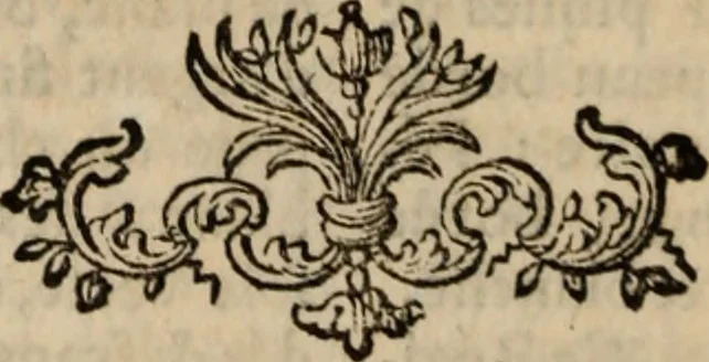 An illustration from Dictionnaire militaire : ou, Recueil alphabétique de tous les termes propres à la guerre, 1751, leaf 659