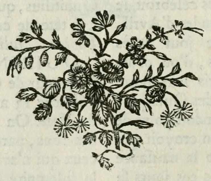 An illustration from Dictionnaire portatif de mythologie : pour l'intelligence des poëtes, de l histoire fabuleuse, des monumens historiques, des bas-reliefs, des tableaux, &c, 1765, leaf 400