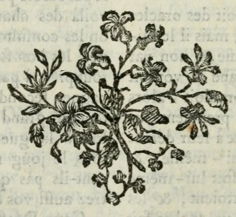 An illustration from Dictionnaire portatif de mythologie : pour l'intelligence des poëtes, de l histoire fabuleuse, des monumens historiques, des bas-reliefs, des tableaux, &c, 1765, leaf 474
