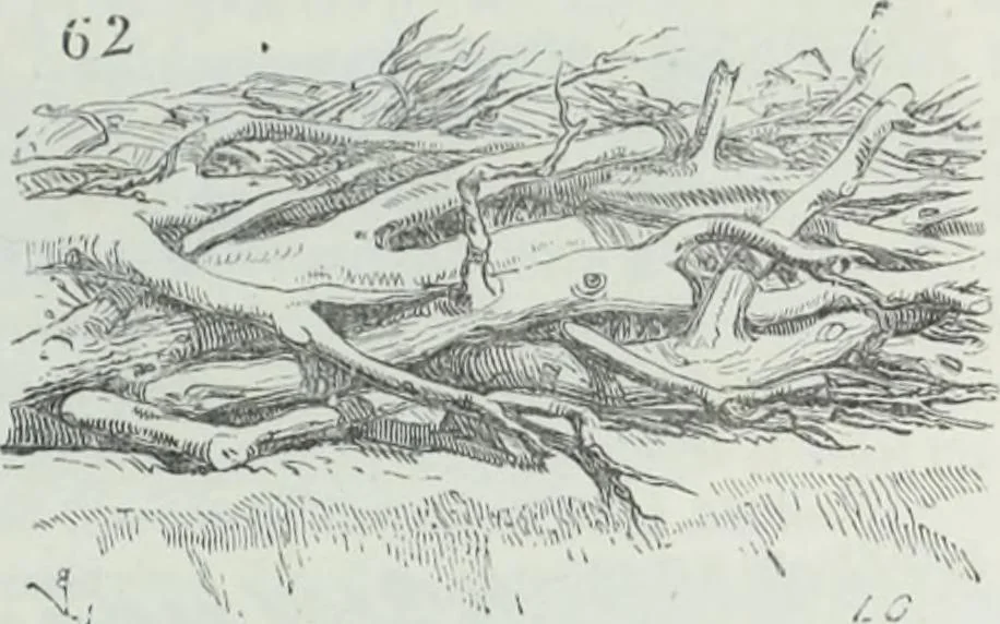 An illustration from Dictionnaire raisonné de l'architecture française du XIe au XVIe siècle, 1858, leaf 448