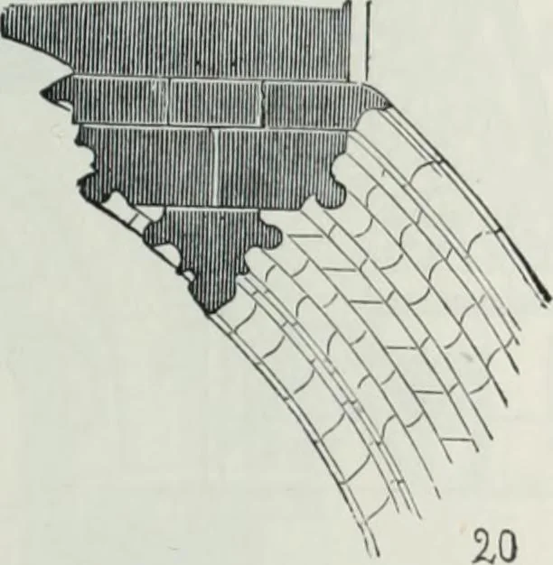 An illustration from Dictionnaire raisonné de l'architecture française du XIe au XVIe siècle, 1858, leaf 74