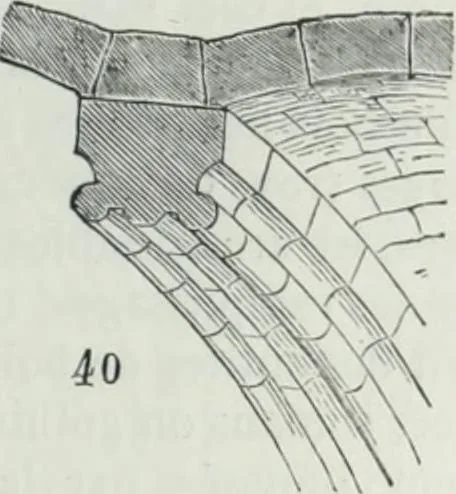 An illustration from Dictionnaire raisonné de l'architecture française du XIe au XVIe siècle, 1858, leaf 80