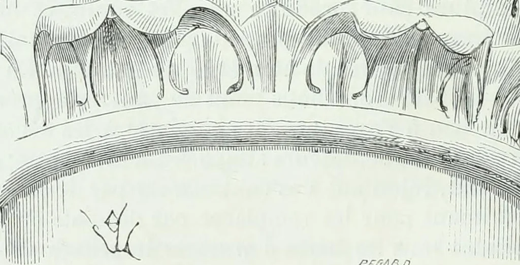 An illustration from Dictionnaire raisonné de l'architecture française du XIe au XVIe siècle, 1858, leaf 235