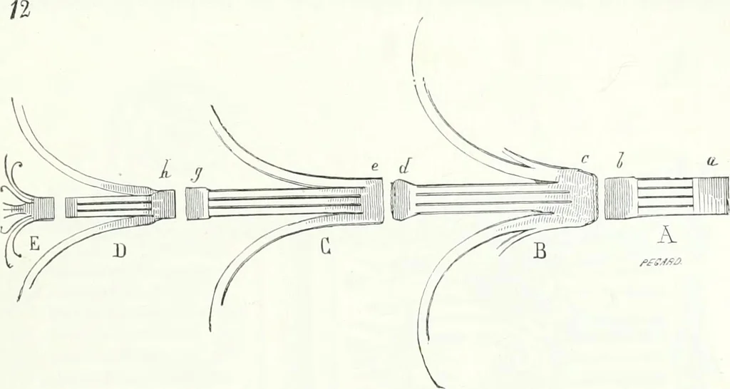 An illustration from Dictionnaire raisonné de l'architecture française du XIe au XVIe siècle, 1858, leaf 316