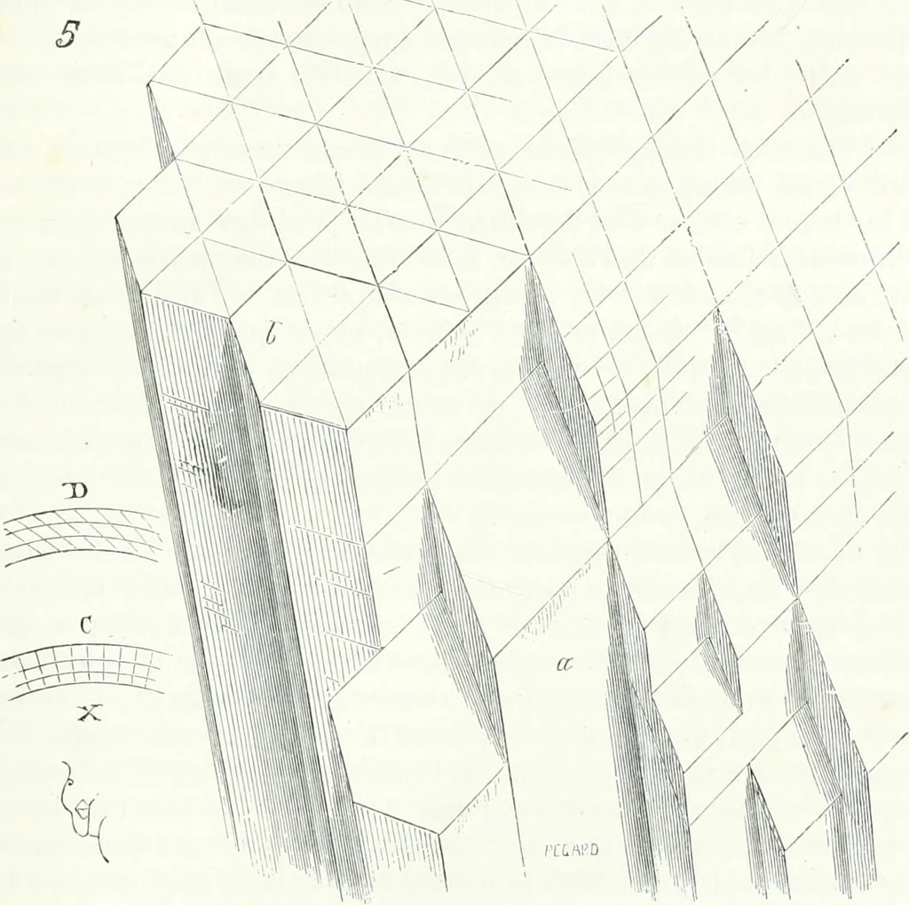 An illustration from Dictionnaire raisonné de l'architecture française du XIe au XVIe siècle, 1858, leaf 492
