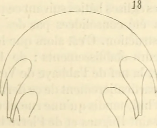An illustration from Dictionnaire raisonné de l'architecture française du XIe au XVIe siècle, 1858, leaf 206