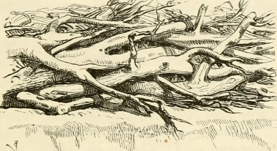 An illustration from Dictionnaire raisonné de l'architecture française du XIe au XVIe siècle, 1858, leaf 448