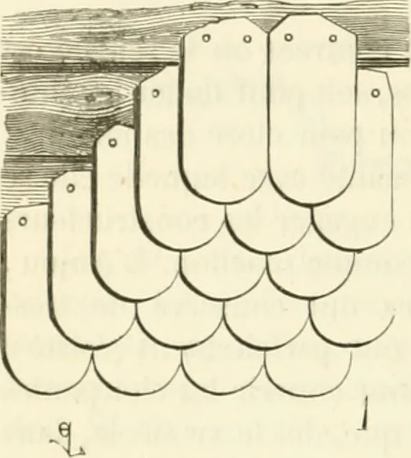 An illustration from Dictionnaire raisonné de l'architecture française du XIe au XVIe siècle, 1858, leaf 479