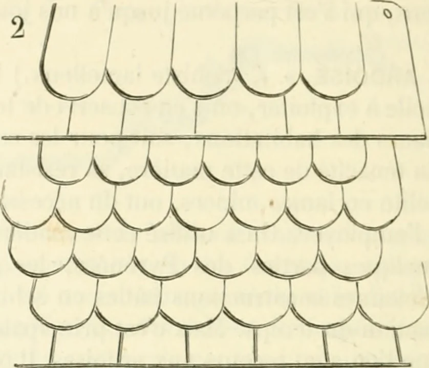 An illustration from Dictionnaire raisonné de l'architecture française du XIe au XVIe siècle, 1858, leaf 479