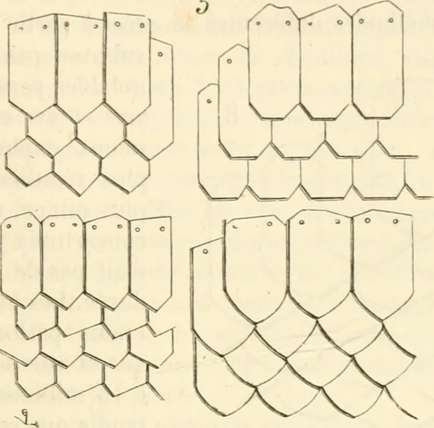 An illustration from Dictionnaire raisonné de l'architecture française du XIe au XVIe siècle, 1858, leaf 480
