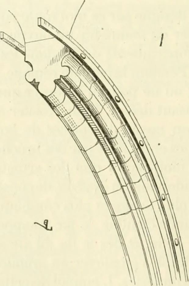 An illustration from Dictionnaire raisonné de l'architecture française du XIe au XVIe siècle, 1858, leaf 487