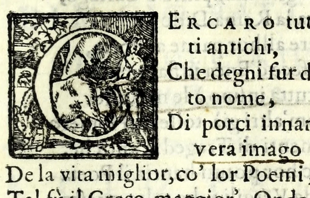 An illustration from Didone : tragedia, 1583, leaf 9