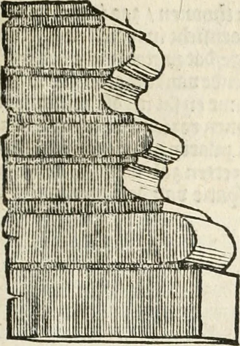 An illustration from Die alder vermaertste antique edificien : vã temple, theatre, amphitheatre, paleisen, therme, obeliske, brugge, archetriuphal, etc. vescreueeñ gefigureert met haren grondede eñ mate oock de plaetsen daerse staen, eñ wiese dede make, 1546, leaf 12