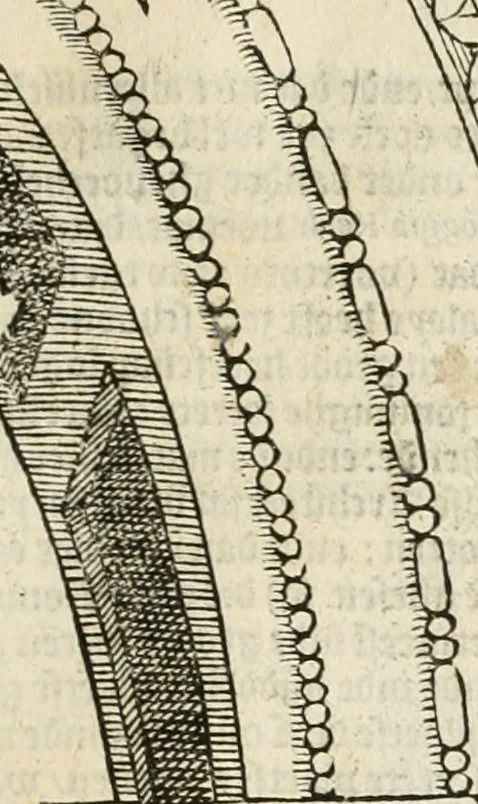 An illustration from Die alder vermaertste antique edificien : vã temple, theatre, amphitheatre, paleisen, therme, obeliske, brugge, archetriuphal, etc. vescreueeñ gefigureert met haren grondede eñ mate oock de plaetsen daerse staen, eñ wiese dede make, 1546, leaf 144