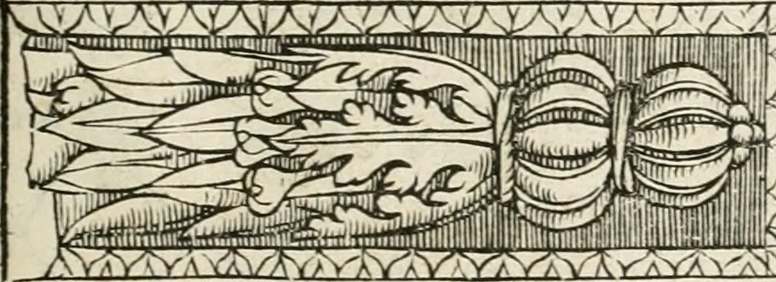 An illustration from Die alder vermaertste antique edificien : vã temple, theatre, amphitheatre, paleisen, therme, obeliske, brugge, archetriuphal, etc. vescreueeñ gefigureert met haren grondede eñ mate oock de plaetsen daerse staen, eñ wiese dede make, 1546, leaf 94