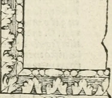An illustration from Die alder vermaertste antique edificien : vã temple, theatre, amphitheatre, paleisen, therme, obeliske, brugge, archetriuphal, etc. vescreueeñ gefigureert met haren grondede eñ mate oock de plaetsen daerse staen, eñ wiese dede make, 1546, leaf 94