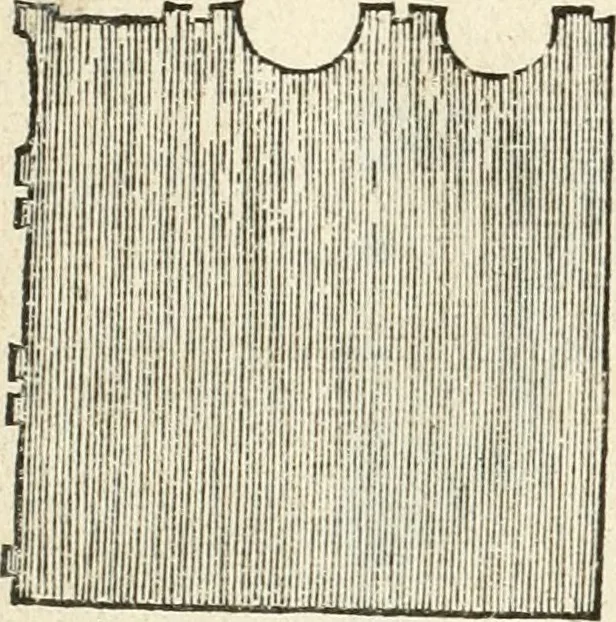 An illustration from Die alder vermaertste antique edificien : vã temple, theatre, amphitheatre, paleisen, therme, obeliske, brugge, archetriuphal, etc. vescreueeñ gefigureert met haren grondede eñ mate oock de plaetsen daerse staen, eñ wiese dede make, 1546, leaf 99