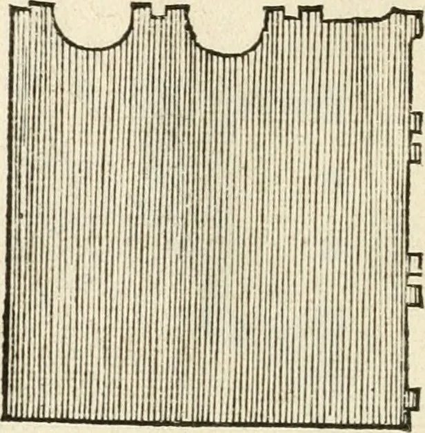 An illustration from Die alder vermaertste antique edificien : vã temple, theatre, amphitheatre, paleisen, therme, obeliske, brugge, archetriuphal, etc. vescreueeñ gefigureert met haren grondede eñ mate oock de plaetsen daerse staen, eñ wiese dede make, 1546, leaf 99