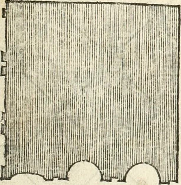 An illustration from Die alder vermaertste antique edificien : vã temple, theatre, amphitheatre, paleisen, therme, obeliske, brugge, archetriuphal, etc. vescreueeñ gefigureert met haren grondede eñ mate oock de plaetsen daerse staen, eñ wiese dede make, 1546, leaf 99