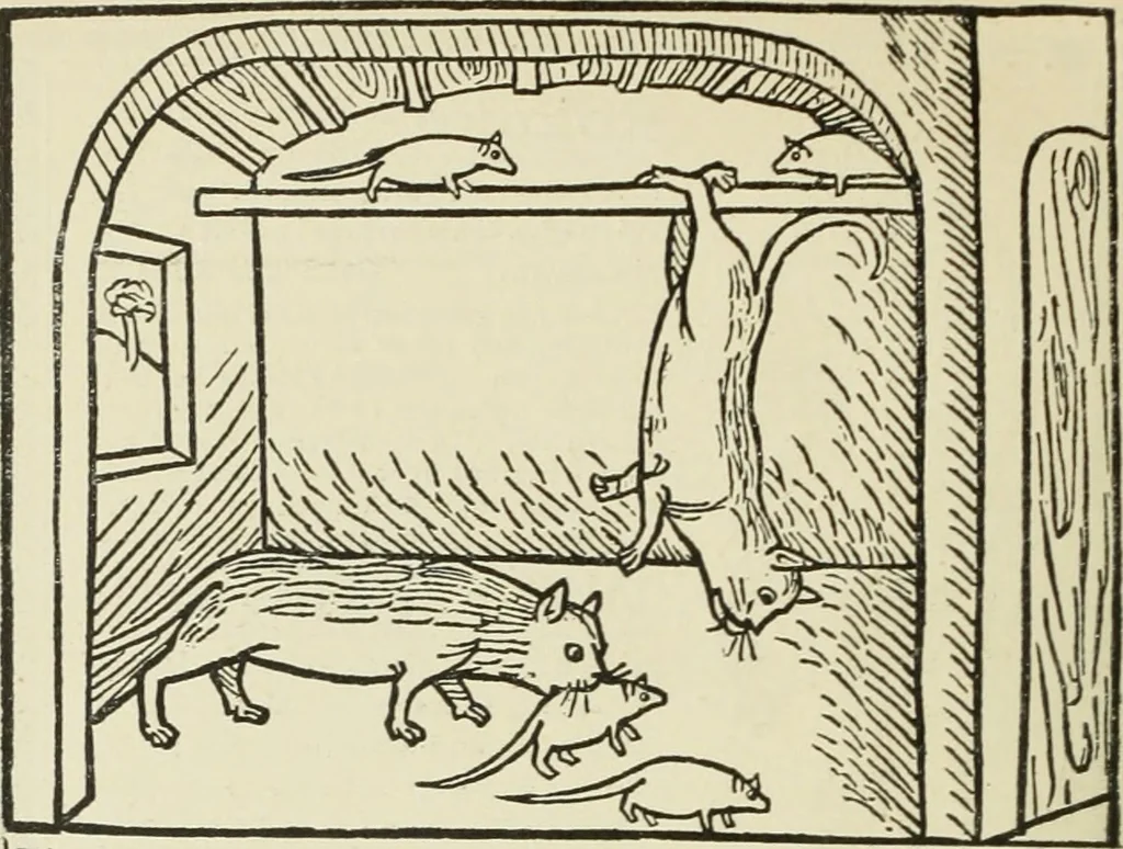 An illustration from Die Altdeutsche Buchillustration, 1912, leaf 159