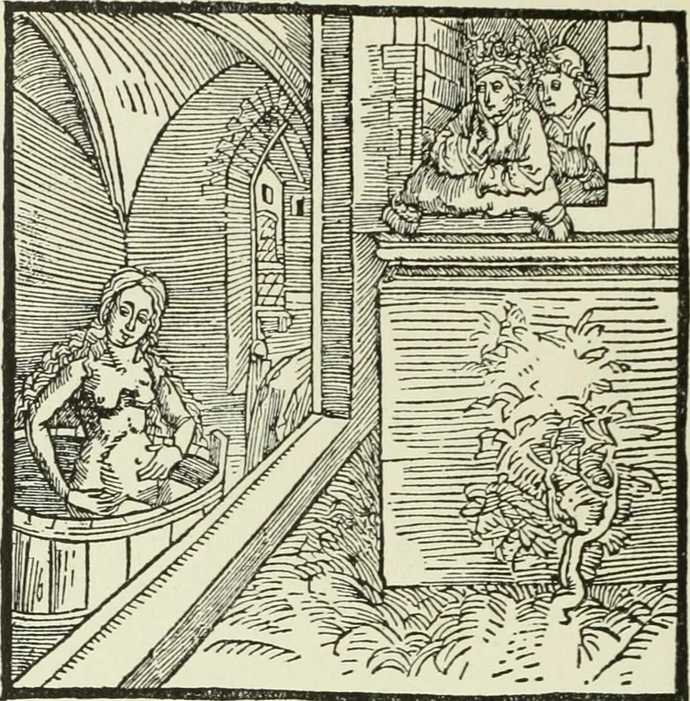 An illustration from Die Altdeutsche Buchillustration, 1912, leaf 89