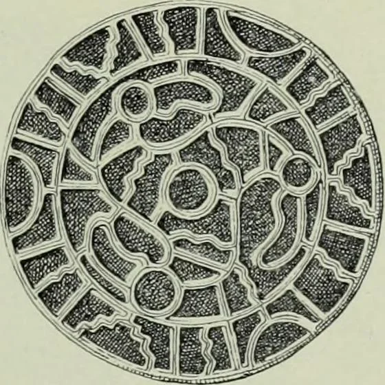 An illustration from Die altgermanische thierornamentik; typologische studie über germanische metallgegenstände aus dem IV. bis IX. jahrhundert, nebst einer studie über irische ornamentik, 1904, leaf 102