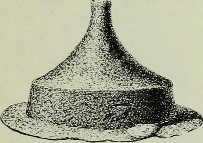 An illustration from Die altgermanische thierornamentik; typologische studie über germanische metallgegenstände aus dem IV. bis IX. jahrhundert, nebst einer studie über irische ornamentik, 1904, leaf 110
