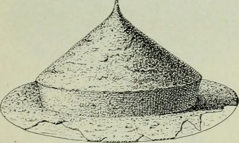 An illustration from Die altgermanische thierornamentik; typologische studie über germanische metallgegenstände aus dem IV. bis IX. jahrhundert, nebst einer studie über irische ornamentik, 1904, leaf 110