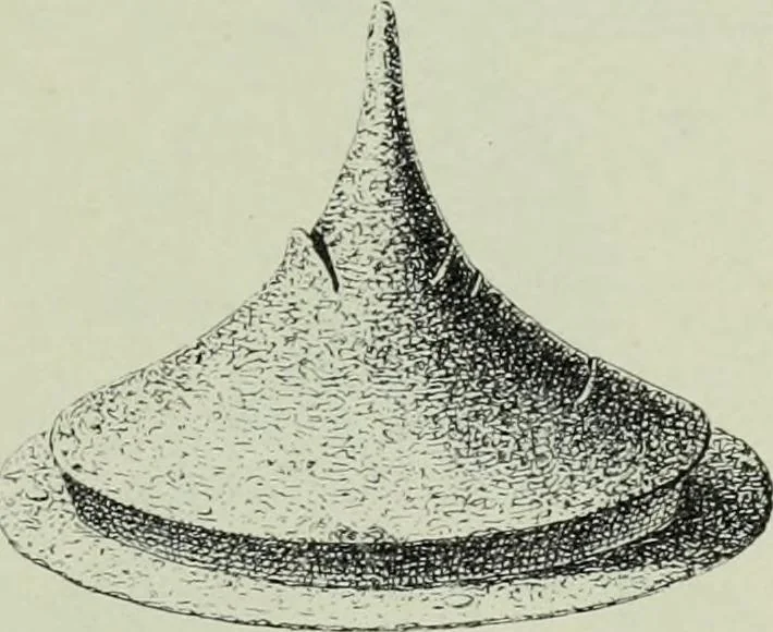 An illustration from Die altgermanische thierornamentik; typologische studie über germanische metallgegenstände aus dem IV. bis IX. jahrhundert, nebst einer studie über irische ornamentik, 1904, leaf 110