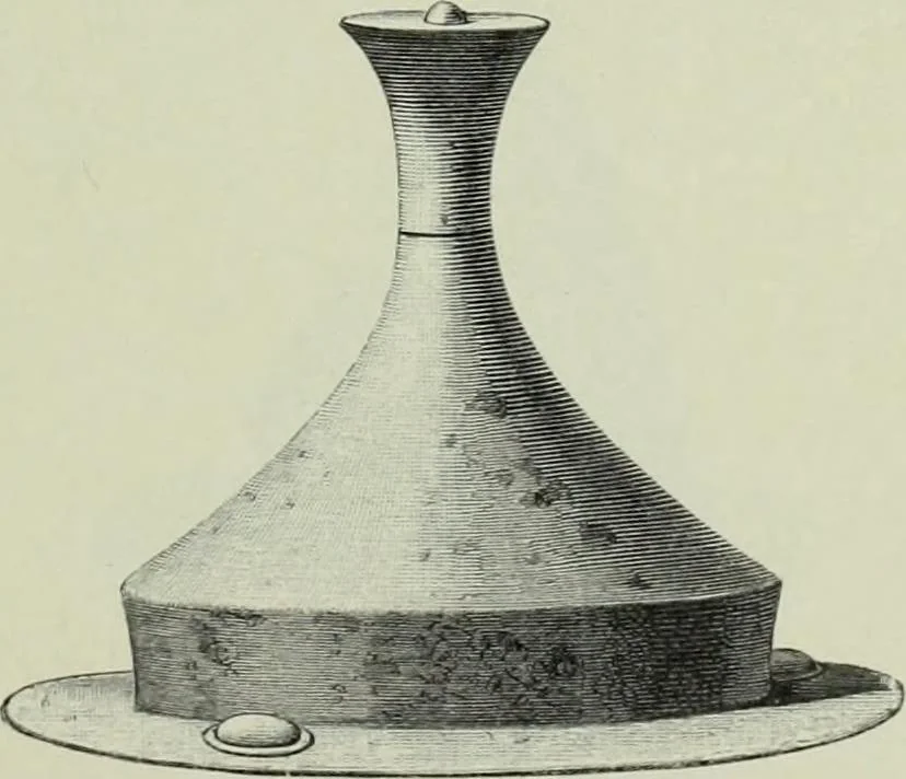 An illustration from Die altgermanische thierornamentik; typologische studie über germanische metallgegenstände aus dem IV. bis IX. jahrhundert, nebst einer studie über irische ornamentik, 1904, leaf 110