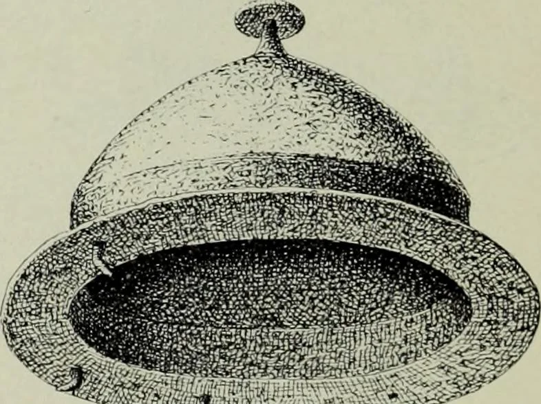 An illustration from Die altgermanische thierornamentik; typologische studie über germanische metallgegenstände aus dem IV. bis IX. jahrhundert, nebst einer studie über irische ornamentik, 1904, leaf 111