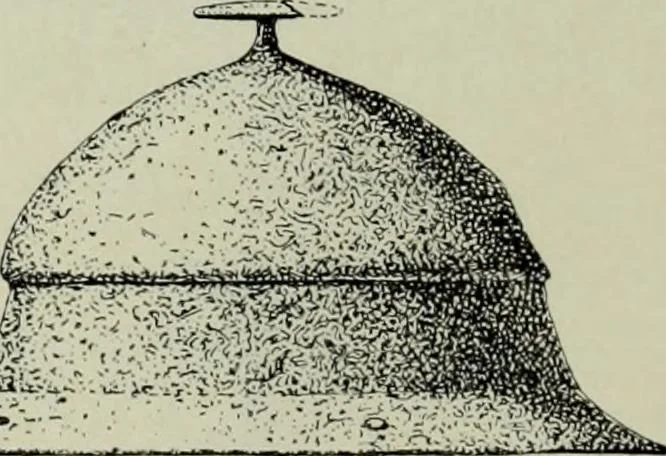 An illustration from Die altgermanische thierornamentik; typologische studie über germanische metallgegenstände aus dem IV. bis IX. jahrhundert, nebst einer studie über irische ornamentik, 1904, leaf 111