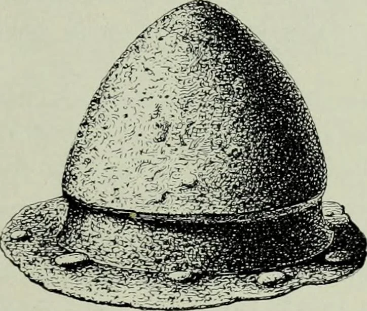 An illustration from Die altgermanische thierornamentik; typologische studie über germanische metallgegenstände aus dem IV. bis IX. jahrhundert, nebst einer studie über irische ornamentik, 1904, leaf 112