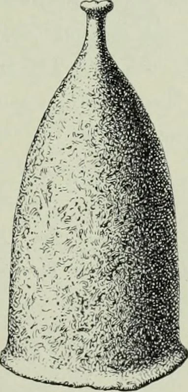 An illustration from Die altgermanische thierornamentik; typologische studie über germanische metallgegenstände aus dem IV. bis IX. jahrhundert, nebst einer studie über irische ornamentik, 1904, leaf 112