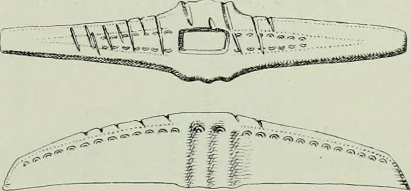 An illustration from Die altgermanische thierornamentik; typologische studie über germanische metallgegenstände aus dem IV. bis IX. jahrhundert, nebst einer studie über irische ornamentik, 1904, leaf 120