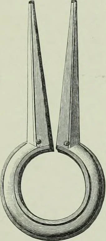 An illustration from Die altgermanische thierornamentik; typologische studie über germanische metallgegenstände aus dem IV. bis IX. jahrhundert, nebst einer studie über irische ornamentik, 1904, leaf 122