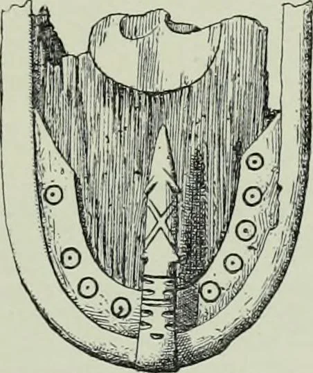 An illustration from Die altgermanische thierornamentik; typologische studie über germanische metallgegenstände aus dem IV. bis IX. jahrhundert, nebst einer studie über irische ornamentik, 1904, leaf 122